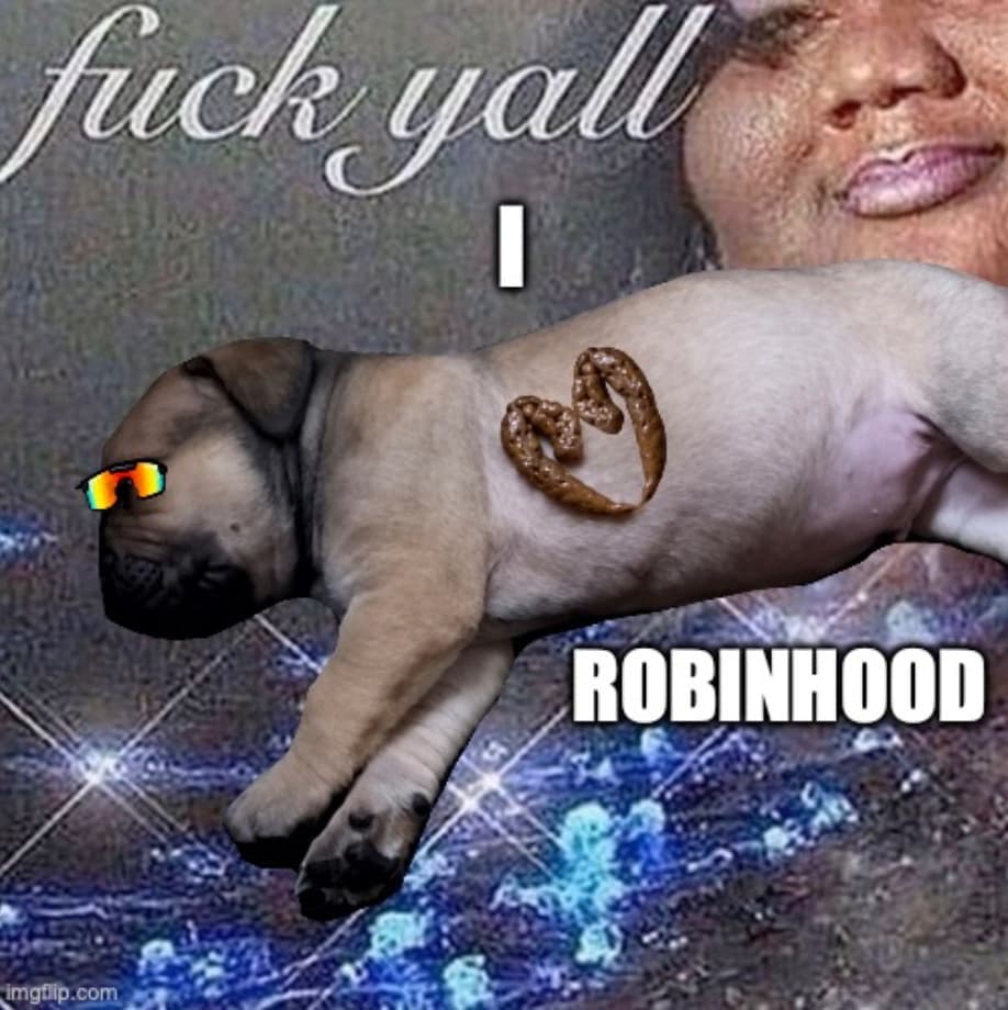 ROBINHOOD SHIT LOWER